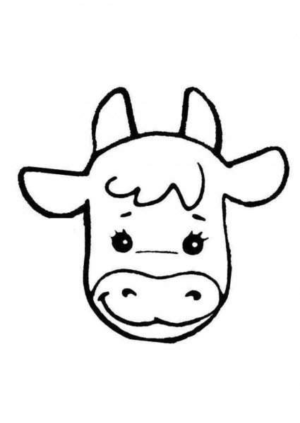 Мордочка быка