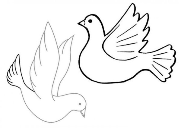 Трафарет голубя
