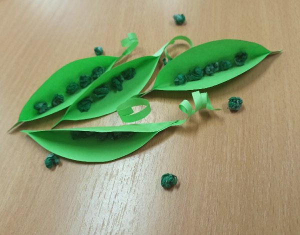 Лепка стручок гороха