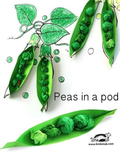 Аппликация стручок гороха