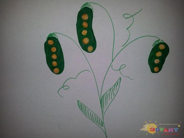 Аппликация горох в старшей группе