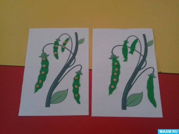 Аппликация с фасолью