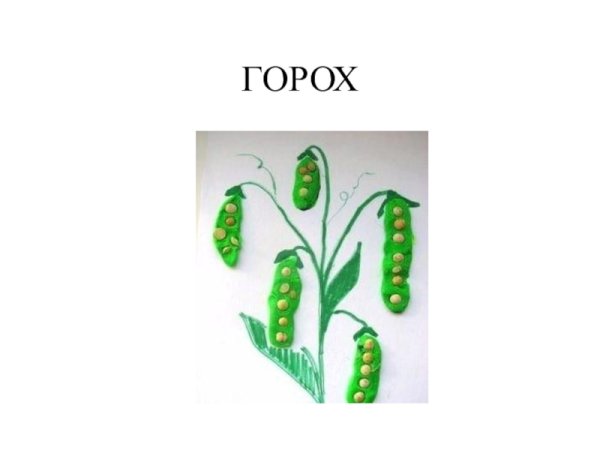 Горох из пластилина
