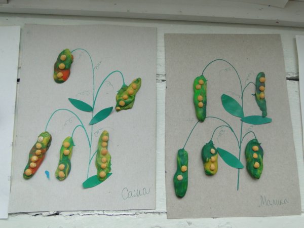 Поделка стручок гороха