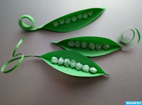 Лепка стручок гороха