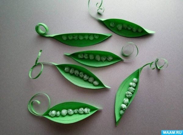 Стручок гороха из бумаги