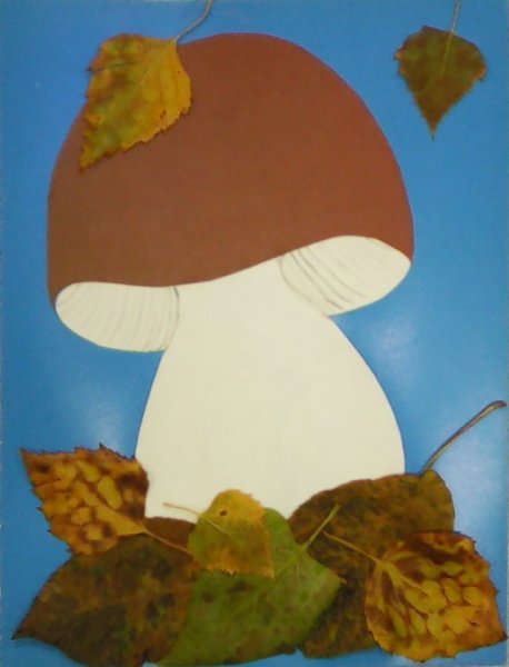 Аппликация грибы
