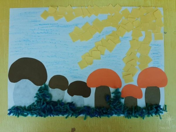 Аппликация грибная Полянка