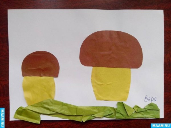 Аппликация грибы в старшей группе