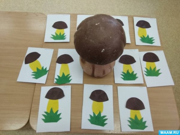 Лыкова грибная Полянка