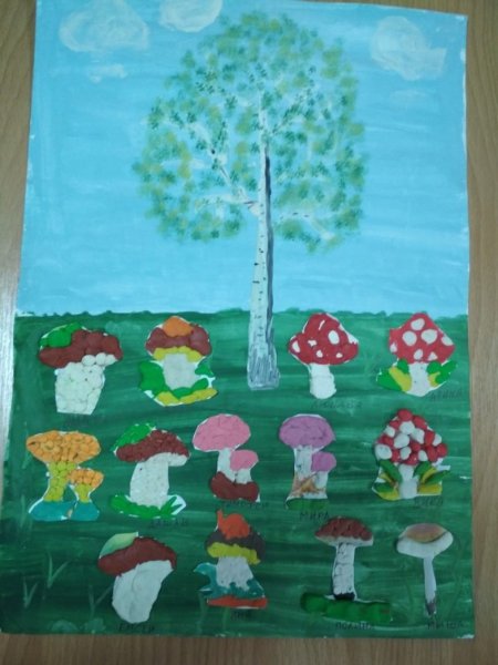 Аппликация в старшей группе