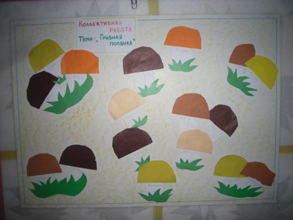 Аппликация грибы в средней группе