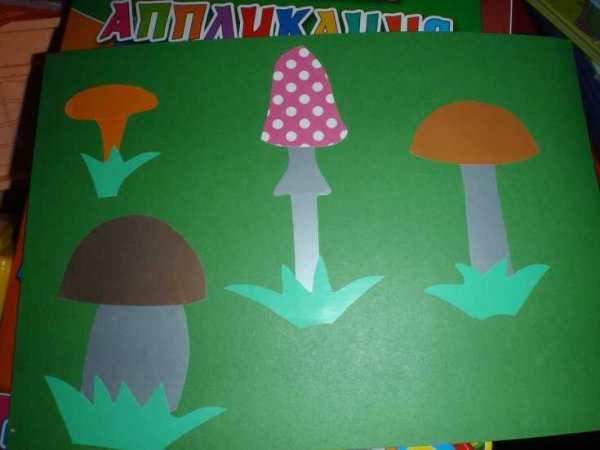 Аппликация грибы на полянке в старшей группе