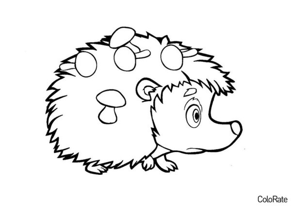 Ежик с грибами раскраска