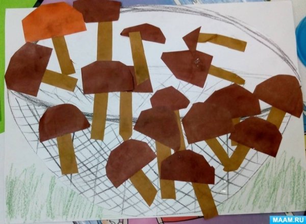 Аппликация грибы в средней группе