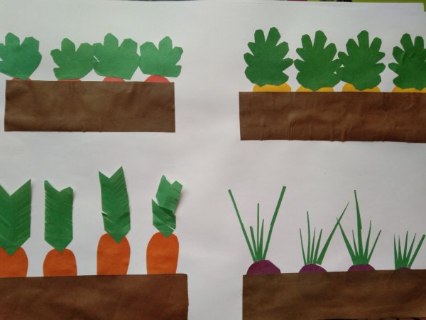 Аппликация в старшей группе