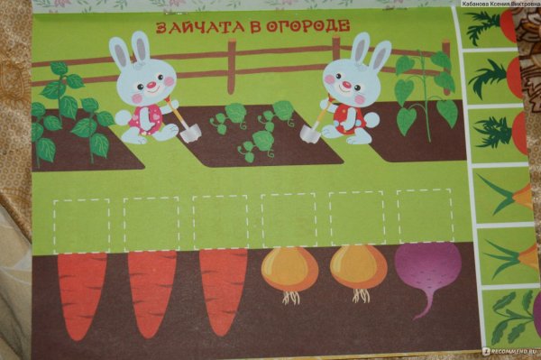 Первые аппликации