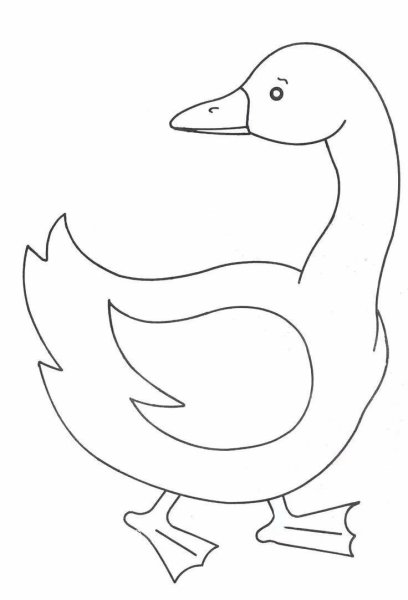 Аппликация шаблон