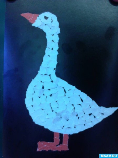 Впликция на ТЕМУДОМАШНИЕ птмцы