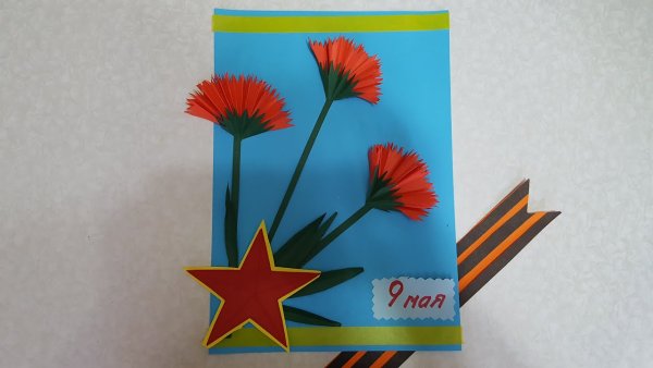 Гвоздики аппликация к 9 мая