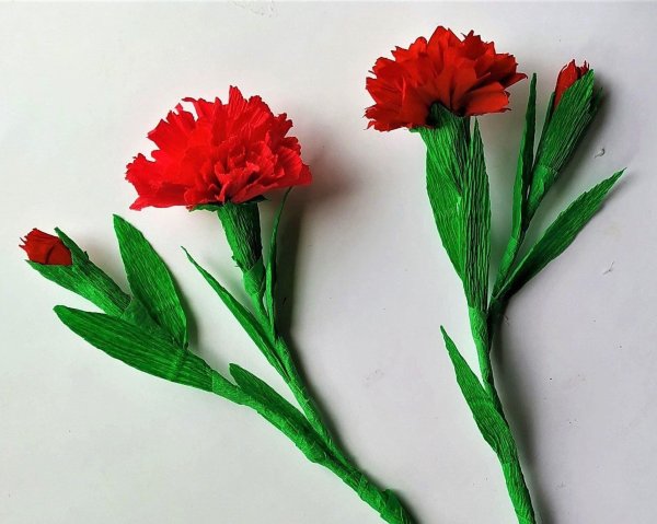 Гвоздика из гофрированной бумаги