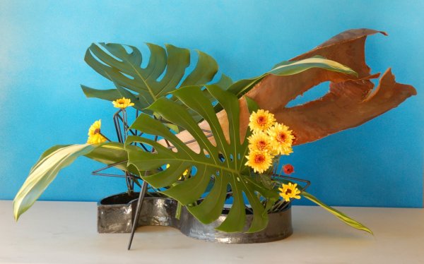 Эвкалипт Радужный экибана