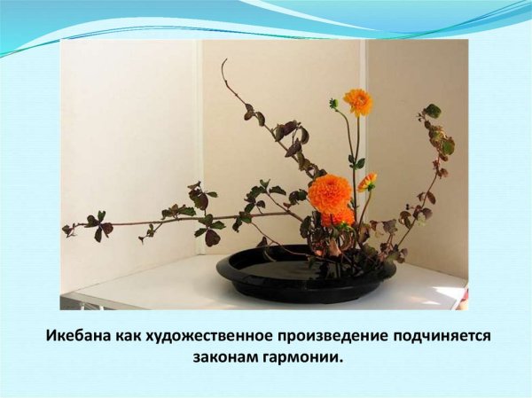 Икебана принципы составления