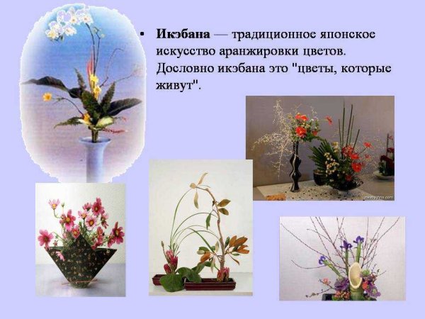 Искусство Икебаны фитодизайн