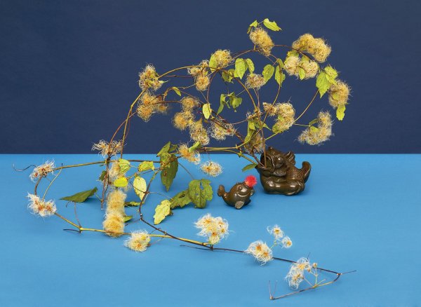 Самые красивые Икебаны