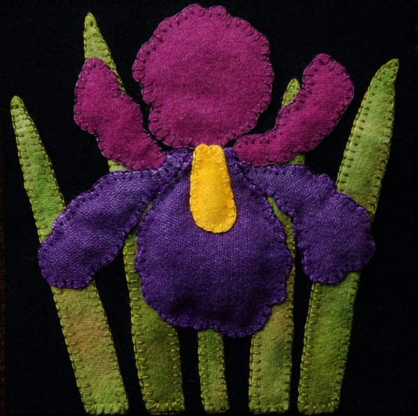 Аппликация на войлоке