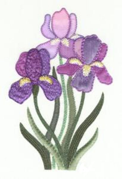 Аппликация ирисы