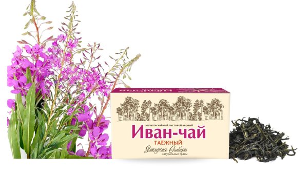 Иван чай на белом фоне