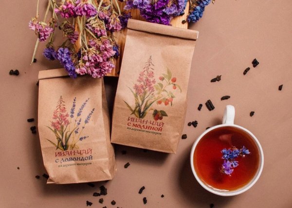 Иван чай акварель