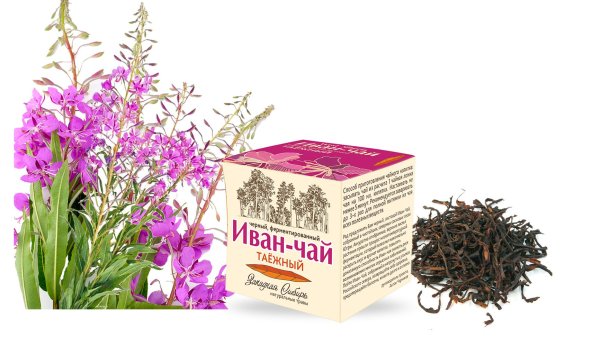 Растение Иван чай большие корни