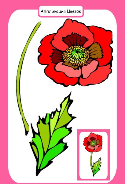Цветные трафареты цветов
