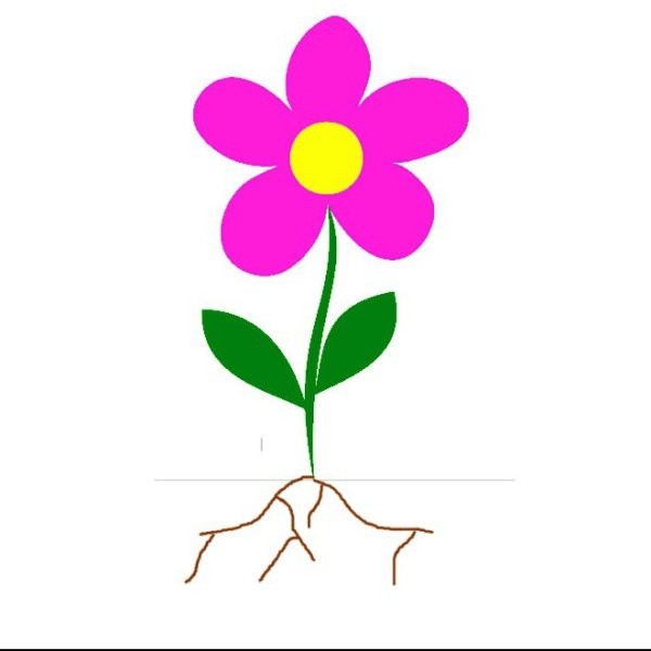 Части цветка для дошкольников