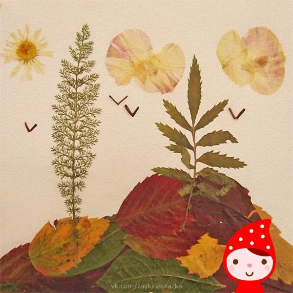 Картины из гербария