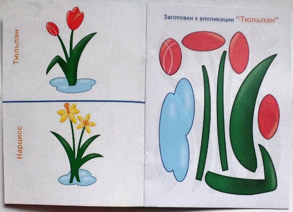 Заготовки для аппликаций