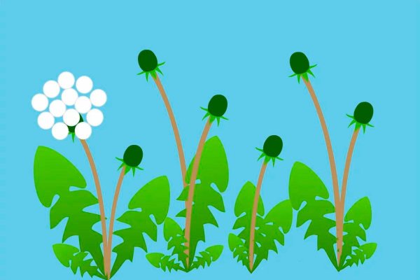 Рисование пальчиками одуванчик