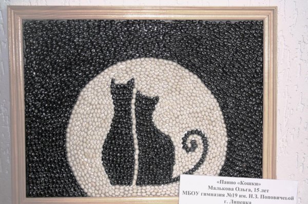 Картины из крупы своими руками для детей