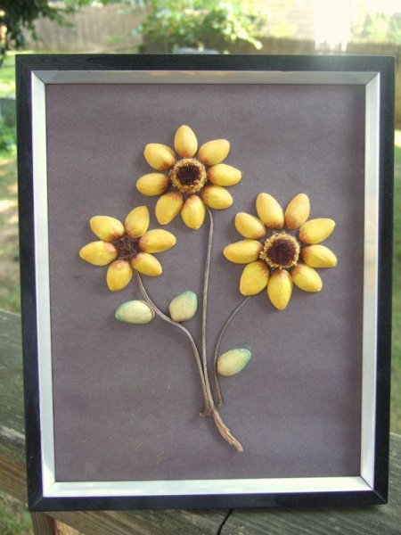 Поделки из фисташковых скорлупок