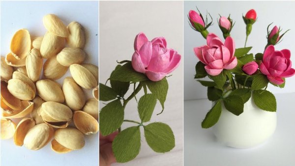 Цветы из фисташек
