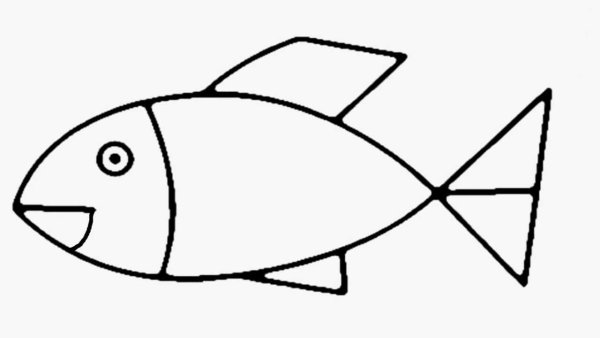Схематичное изображение рыбы