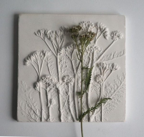 Оттиски растений на глине мастер класс