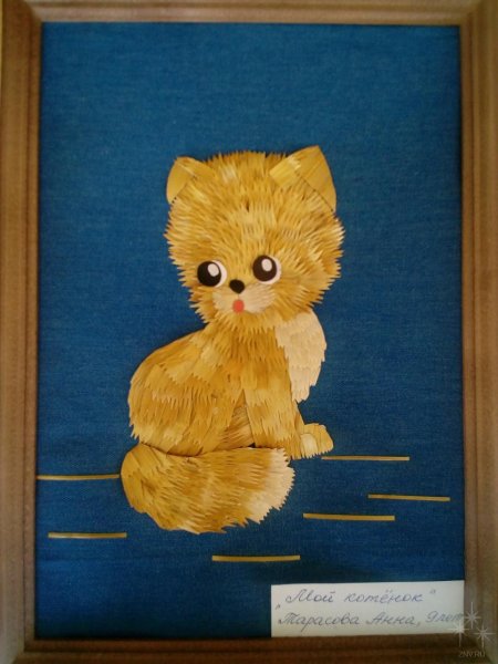 Камыш и рогоз