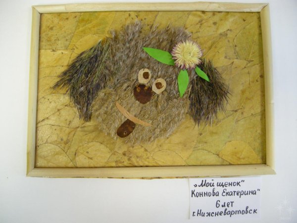 Аппликация из камыша