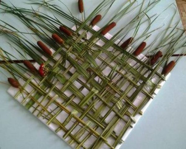 Композиция из камыша