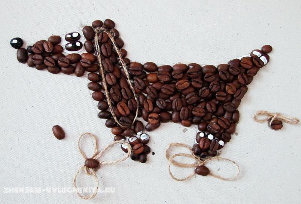Поделки из кофейных зёрен своими руками