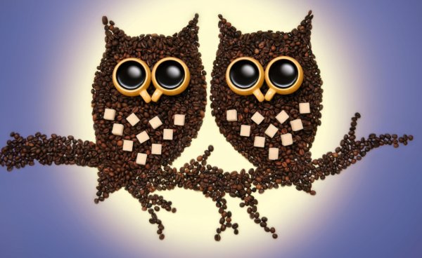 Панно из кофейных зерен