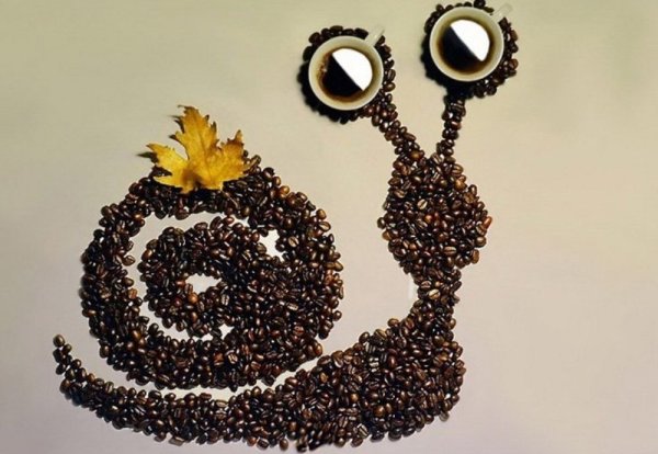 Картины из кофейных зерен